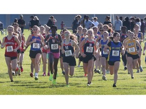 Senior girls take off during the SWOSSAA cross-country championships at the Malden Park.