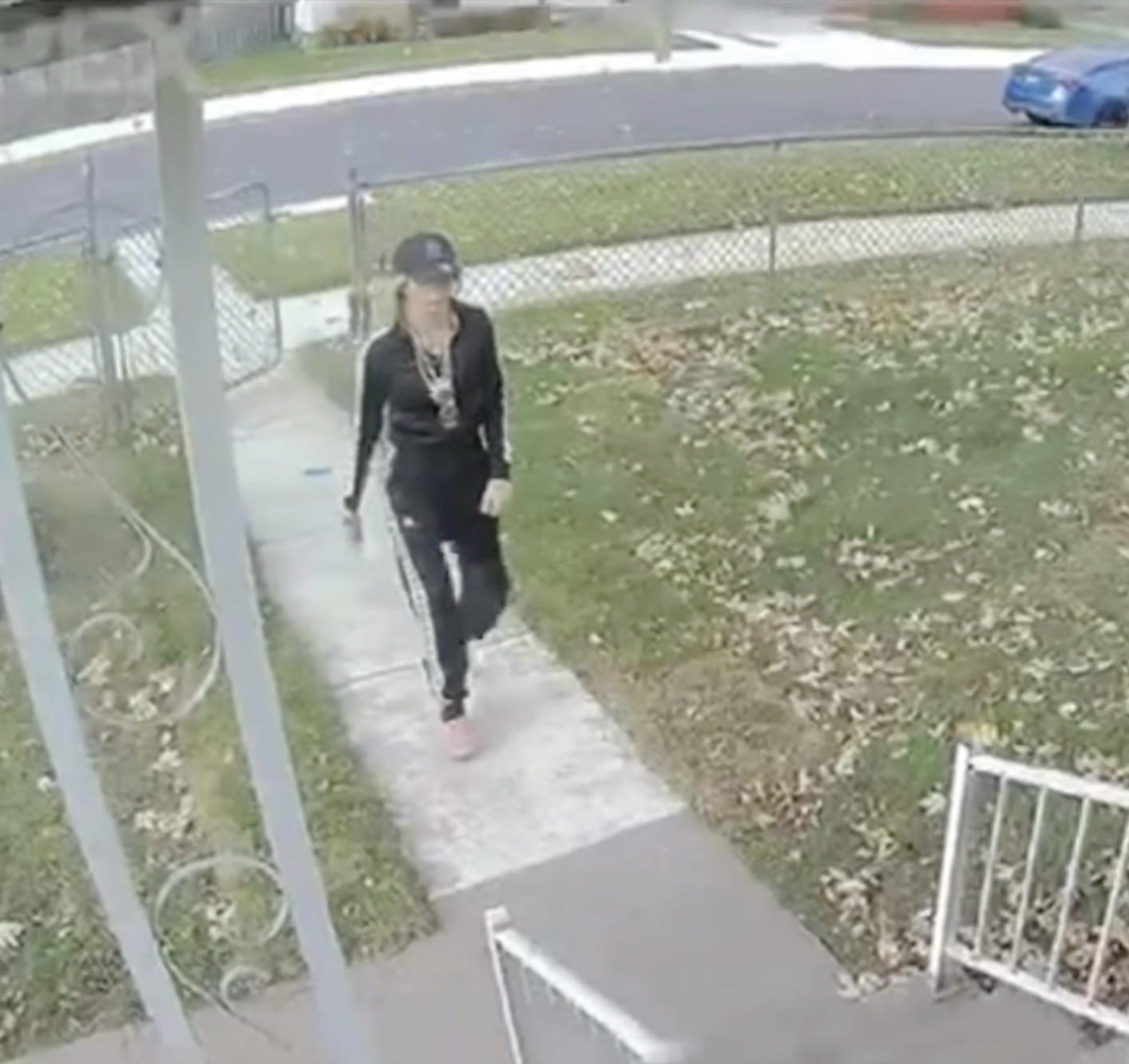Porch pirate