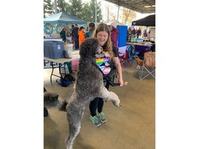 Event highlights strong bond between abused women and their pets 3 Bark in the Park