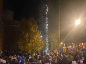 Underwhelming Christmas tree lighting in Orillia, Ont., shows only trunk of tree lit.