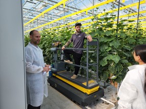 Dr. Patrick Wspanialy, Director of Research and Development at ecoation, a joint partner in Horteca, discussing agtech and growing practices with a team of researchers from the University of Windsor. PHOTO BY UWINDSOR