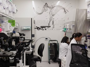 Scientists work at BioLabs Pegasus Park in Dallas.