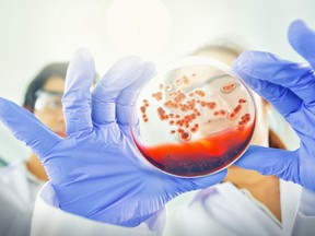 university research microbiology mcmaster