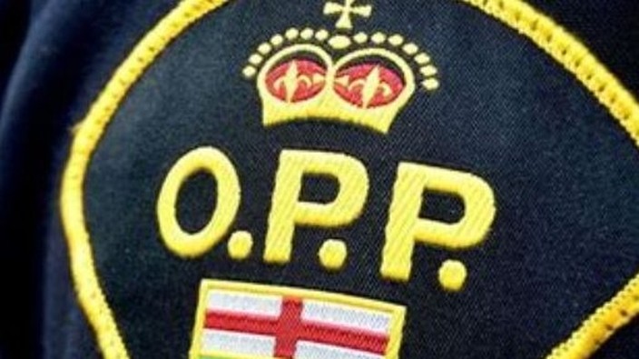 New OPP oversight board includes Essex, Lakeshore, Tecumseh civilians