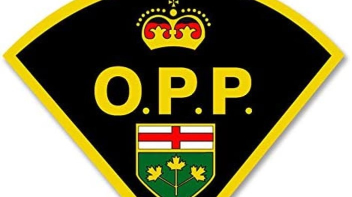 Wallaceburg man faces numerous charges following crash
