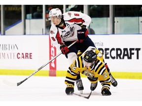 Windsor Spitfires' forward A.J. Spellacy (8) knocks down Sarnia Sting defenceman Hughston Hurt (72) during a game during the 2023-24 season. Windsor will play Sarnia twice in pre-season play in September.