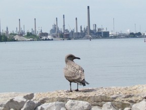 Industry is shown in the background of this file photo of Sarnia Bay. Work led by Dow Chemical to cap historic mercury-contaminated sediment in three areas of the St. Clair River is now expected to take place in the summer. The work was originally scheduled for fall 2023.