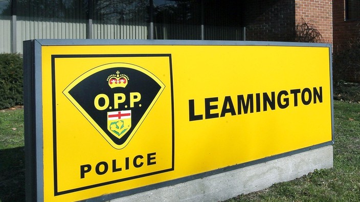 OPP charge pair after finding them inside Leamington residence