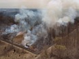 Ojibway Prairie Complex