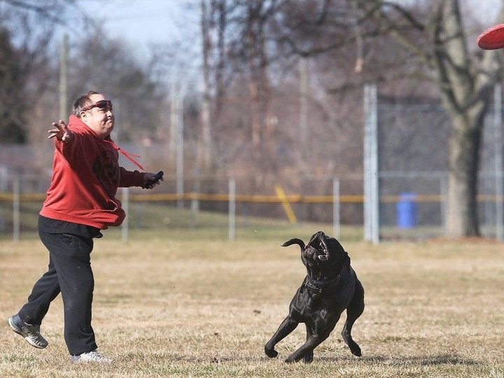  Brian Holden and his dog Elvis enjoy a sunny Tuesday, March 12, 2024, playing fetch at the Optimist Park in Windsor.