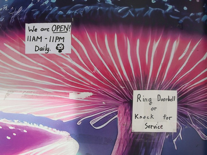  ‘We are open.’ Notes on the front door of Fun Guyz magic mushrooms business on Ouellette Avenue shown on Thursday indicate the dispensary has re-opened following a police raid two days earlier.