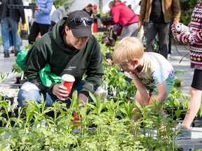 Family at Windsor plant sale