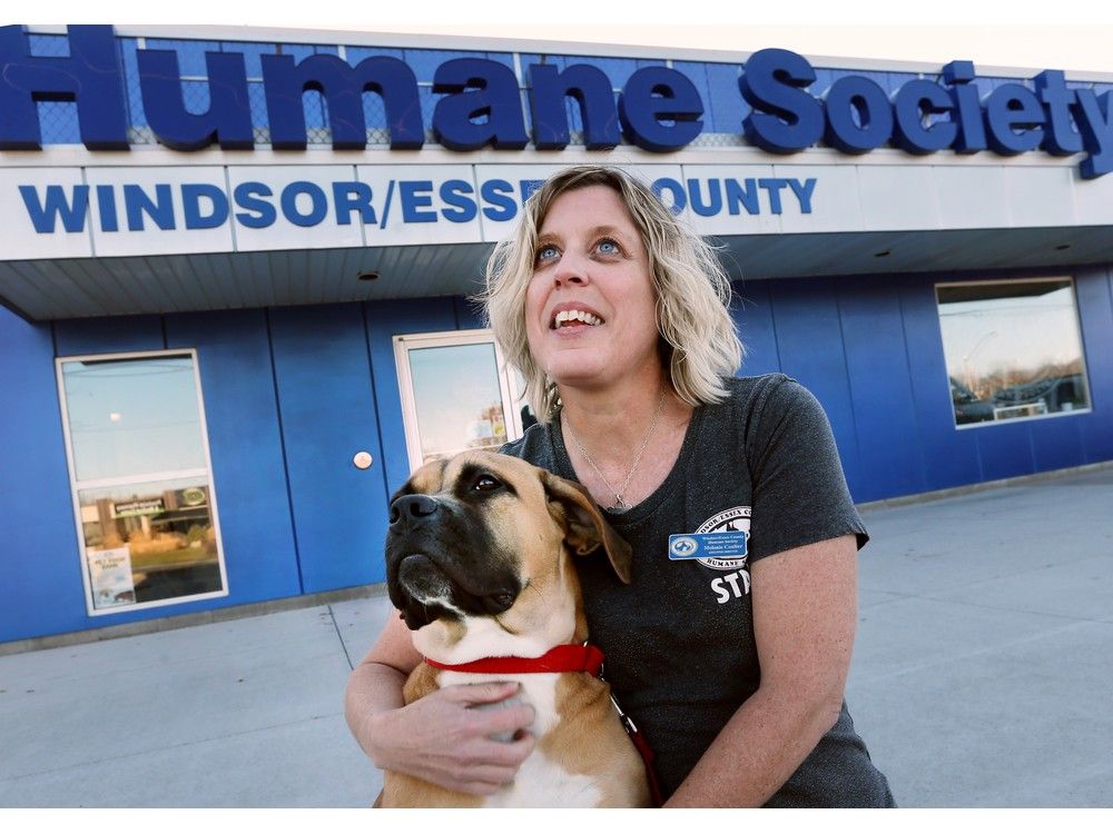 Melanie Coulter, executive director of the Windsor-Essex County Humane Society is shown with Topanga, in this file photo taken Nov. 29, 2017.