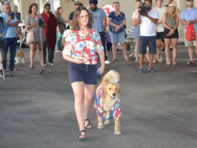 Dog show