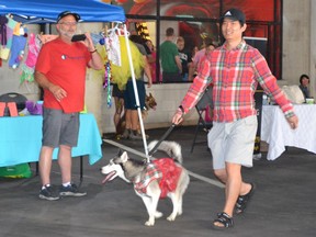 Dog fashion show