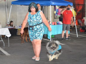 Dog show