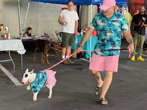 Dog fashion show