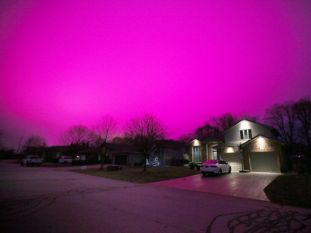 'No appetite' in Lakeshore to host largescale greenhouses — mayor