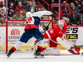 Windsor Spitfires forward Ilya Protas brought Sault Ste back home. Marie Greyhounds goalkeeper Landon Miller led 2-1 in the second quarter of the game at GFL Memorial Garden on Wednesday in his first goal of the season.