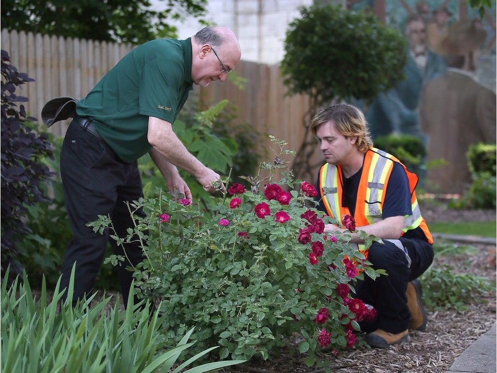 St. Clair College student to tend historic Windsor property through landscaping scholarship