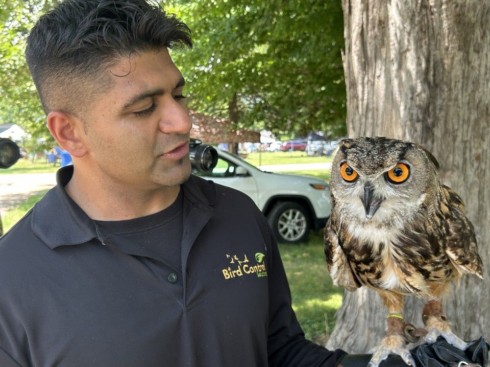  falconer sully momla shows an 18-month-old eurasian eagle owl at the historic christ church in colchester during an education event organized by the ontario purple martin association on saturday, july 12, 2025. (brian macleod/windsor star)