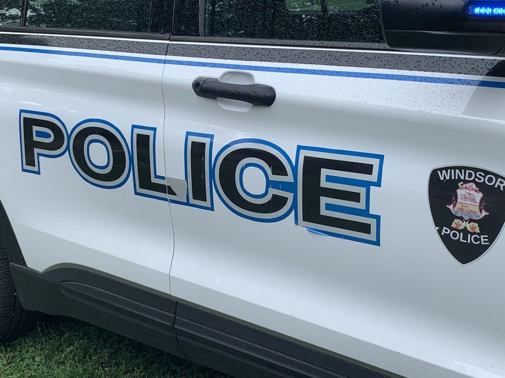 Windsor police have laid a dangerous driving charge against a woman who struck a pedestrian in March on the city’s east side. 