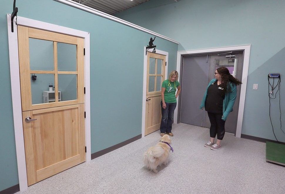 Ousted head of humane society launches new Windsor animal clinic