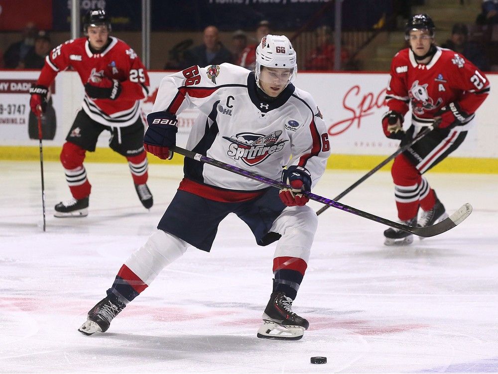 What a welcome home. | Windsor Star