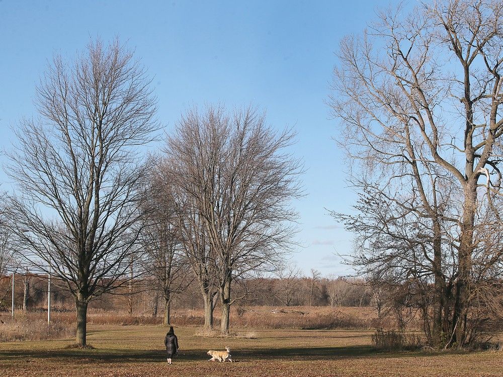 One city councillor said it would be 'fantastic' for private lands now on sale for $17M to be added to future Ojibway National Urban Park.