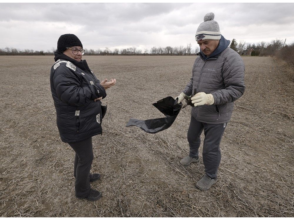 Oldcastle resident Michelle Scott discovered the bodies of 19 ducks near their neighbour's driveway. Their cause of death remains a mystery.