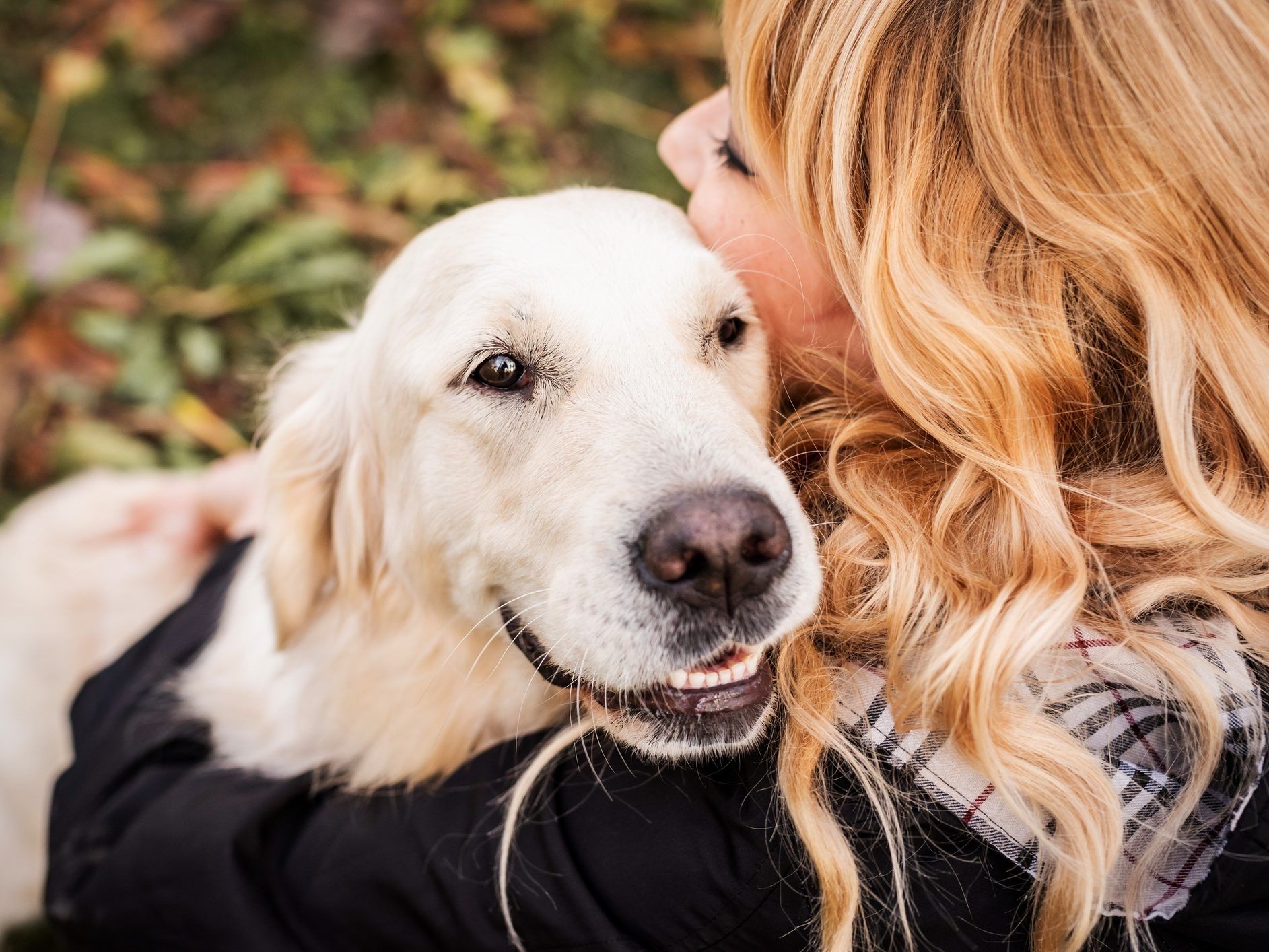 Opinion: Fewer kids, more pets – but Canada's food system isn’t ready