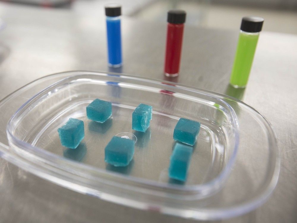 'Potent drug:' Windsor-Essex health unit warns of cannabis edibles risk