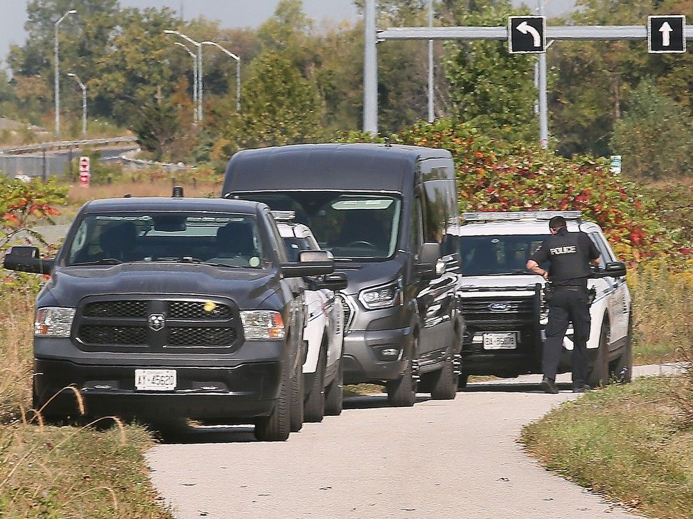 Human remains found in northern Ontario in October have been confirmed as those of David Pavao, according to Windsor police. 