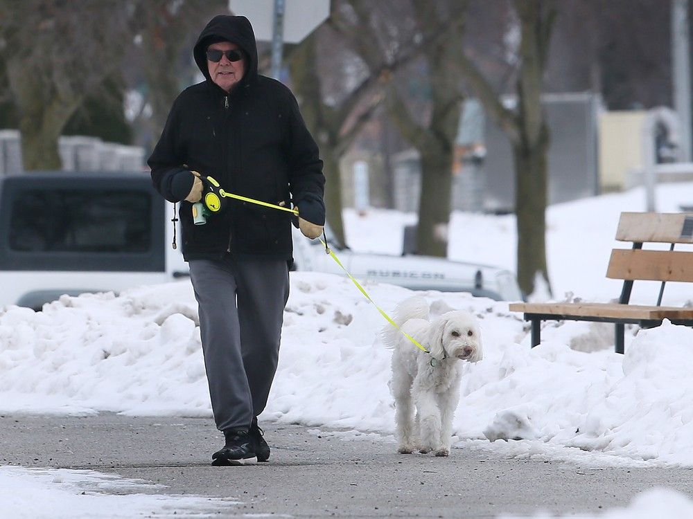 Windsor earns global non-profit's environmental kudos