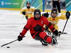 Tyler McGregor (8) of Team Canada controls the puck during a para hockey semifinal against China at the Milano Cortina Paralympic Games at Milano Santagiulia Ice Hockey Arena on March 13, 2026, in Milan, Italy. (James Fearn/Getty Images for IPC)