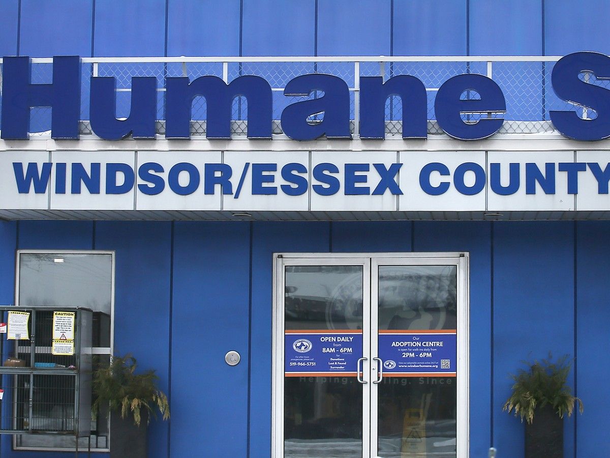 Windsor humane society cancels annual general meeting amid further court action over memberships.