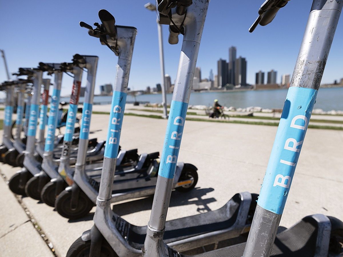 Bird Canada e-scooters, e-bikes could be pulled from Windsor roads