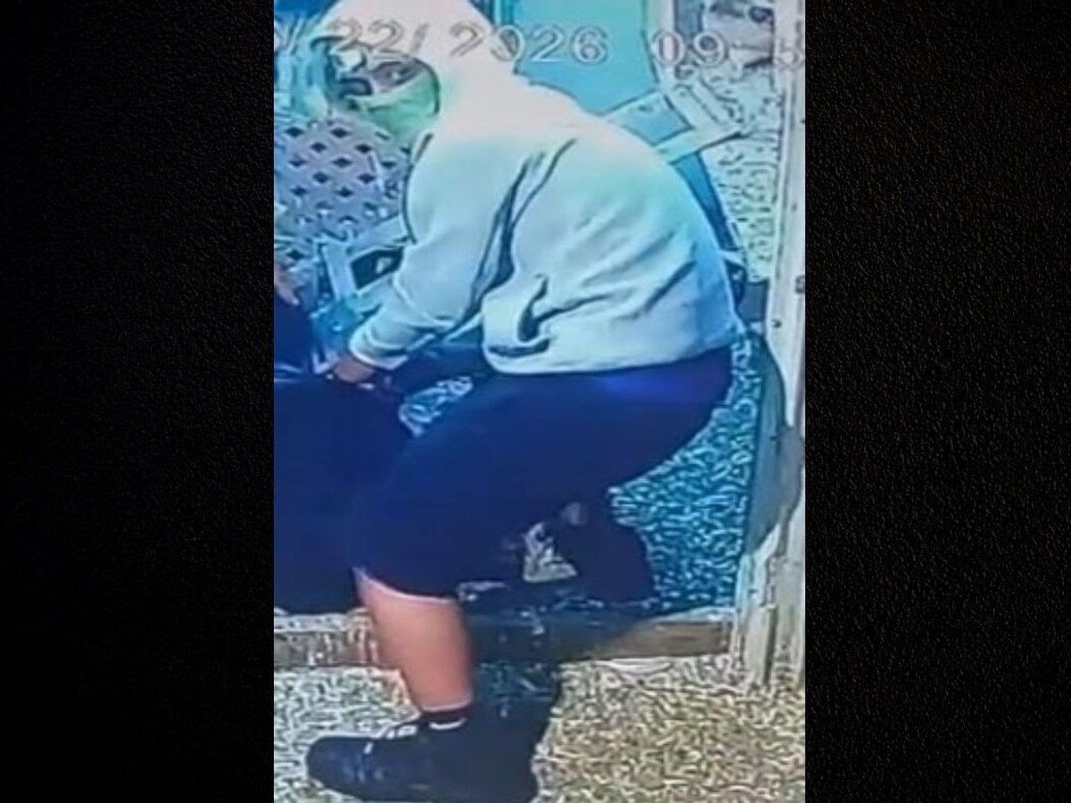 Windsor police arrested one suspect and are searching for two more after exotic birds were stolen from an east-side residence.