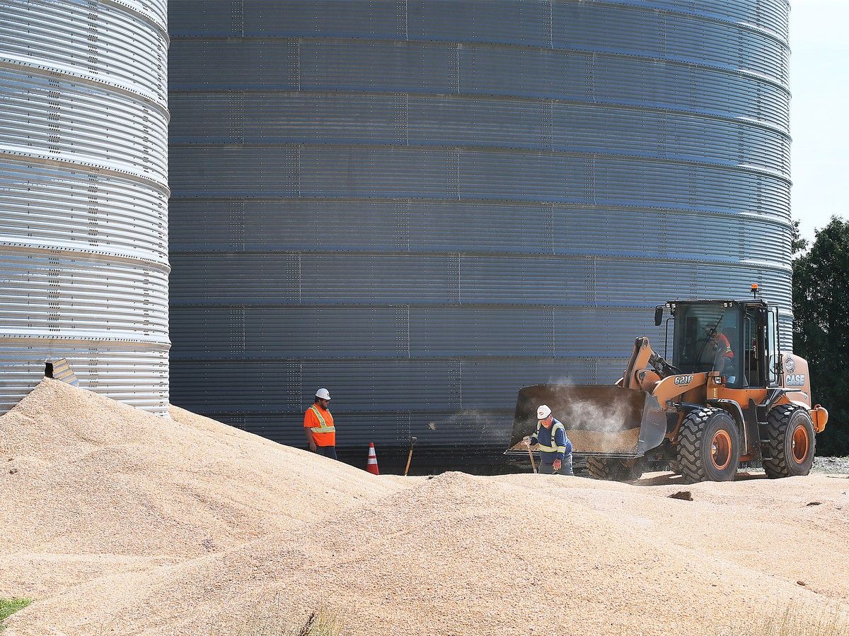 Crews cut open Lakeshore grain silo to rescue trapped worker