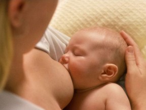 Breastfeeding raises children's IQs and increases their academic performance, a newly released study says.

06 B1  COL f   breastfeeding  tb                    cc-cataloged