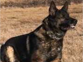 A man and his 12-year-old son who got lost while hunting in southeastern Manitoba are safe and sound after being found with the help of RCMP police dog Enzo.