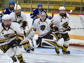 For the first time in the history of the school, the University of Manitoba women’s hockey team is ranked best in the nation. (Jeff and Tara Miller for Bisons)