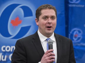Conservative Party leader Andrew Sheer
THE CANADIAN PRESS/Paul Chiasson