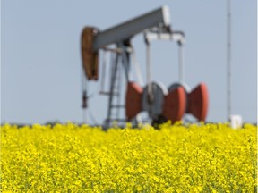 Picture perfect Alberta. An oil pumpjack is seen in a canola field north of Camrose, Alta. along Highway 833 on Monday August 3, 2015. Ian Kucerak/Edmonton Sun/Postmedia Network

Edmonton Sun Pictures of the Week Aug 1 to 7, 2015