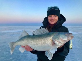 Lake Winnipeg is producing some huge walleye lately.
