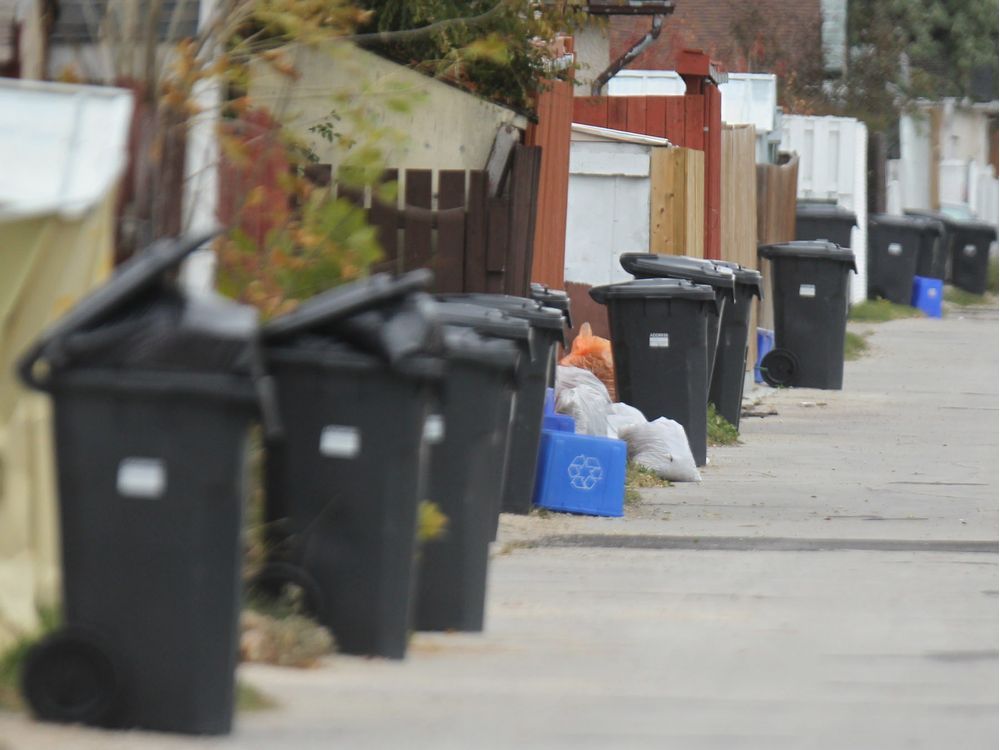 Garbage bins in a Winnipeg back lane