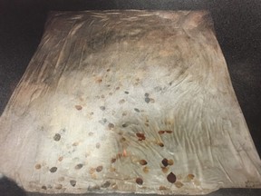 The duvet cover that Tina Fontaine's body was found wrapped in when she was pulled from the Red River in Winnipeg in August 2014, is shown in this undated evidence photo provided by the court. A murder trial has been told that a man accused of killing a 15-year-old girl owned the same kind of duvet cover her body was wrapped in when it was pulled from the Red River in Winnipeg. Raymond Cormier is on trial for second-degree murder in Tina Fontaine's death in August 2014 and has pleaded not guilty. THE CANADIAN PRESS/HO - Manitoba Court of Queen's Bench *MANDATORY CREDIT*
