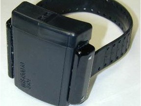 A government-ordered review of Manitoba's pilot programs that used electronic ankle bracelets for some convicted auto thieves and domestic violence offenders found expanding use in Manitoba, instead of ending it, would have come with a substantial price.