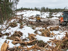 A photo showing the destruction of land near Cat Lake in Nopiming Provincial Park. Photo: Eric Reder