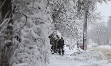 Rachael Kroeker negotiates her way around low-hanging branches as she snowshoes along Stafford Street in Winnipeg on Mon., March 5, 2018. Kevin King/Winnipeg Sun/Postmedia Network